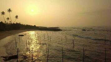 aéreo parte superior ver zumbido 4k zanco pescar palos en sri lanka en amanecer. video