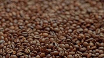 roasted coffee beans drop in slow motion on full frame background of coffe beans video