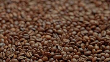 roasted coffee beans drop in slow motion on full frame background of coffe beans video