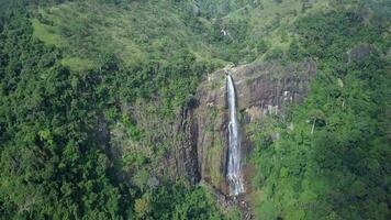 Antenne Aussicht Drohne 4k Aufnahmen von Diyaluma Stürze Wasserfall im sri lanka. video