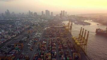 aéreo ver zumbido 4k imágenes de envase grúas en puerto, colombo, sri lanka. puesta de sol video