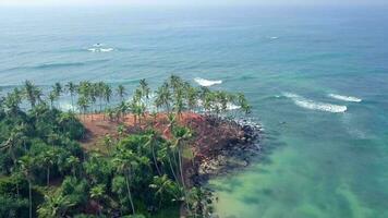 Antenne Aussicht Drohne 4k Aufnahmen von Kokosnuss Baum Hügel beim Mirissa, sri lanka. video