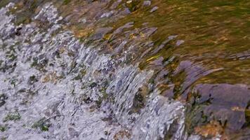 le écoulement l'eau de une été rivière avec une petit rapide cascade dans lent mouvement à lumière du jour video