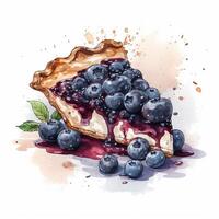 Blueberry pie illustration photo