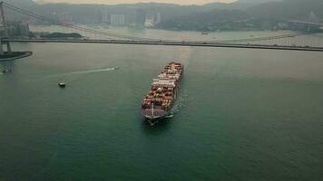 Antenne Aussicht Drohne 4k Aufnahmen von Ozean Container Schiff im Hong Kong. video