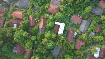 aérien Haut vue drone 4k métrage de le du sud les provinces sri lanka video