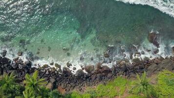 Antenne Aussicht Drohne 4k Aufnahmen von Kokosnuss Baum Hügel beim Mirissa, sri lanka. video