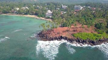 antenne visie dar 4k beeldmateriaal van kokosnoot boom heuvel Bij mirissa, sri lanka. video