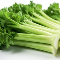 Close up of green celery on a white background photo