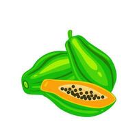 papaya Fruta vector ilustración en un blanco antecedentes.