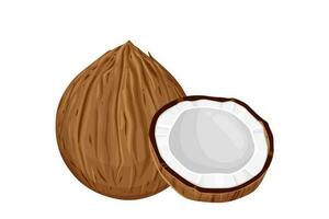 Coconuts and coconut half with leaves isolated on a white background. vector