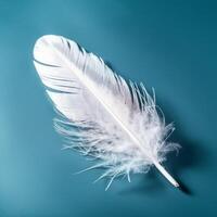 White delicate air feather on blue background photo