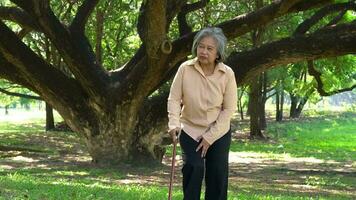 vieux personnes âgées femme en utilisant une en marchant bâton à Aidez-moi sa marcher équilibre et en marchant dans parc, l'arthrose, et l'ostéoporose dû à manquer de de calcium. concept santé Assurance pour famille. video