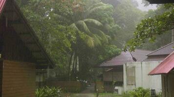 bungalow en la selva tropical en una isla de koh miang, durante un aguacero tropical, islas similares video