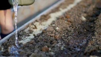 bodem en kunstmest teelt. bodem meststoffen voordat aanplant zaden video