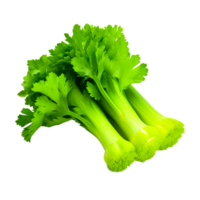 Celery leaves AI Generative png