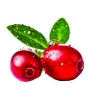 rot frisch Beeren ai generativ png