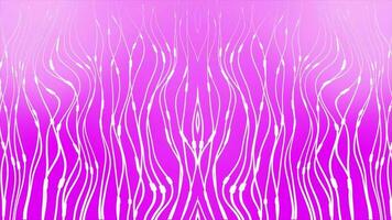 white color wavy abstract lines moving over pink background video