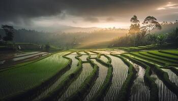 Lush terraced rice paddies in Sa Pa generated by AI photo