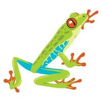 green and blue frog amphibian animal vector