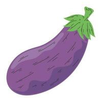 fresh eggplant vegetable healthy food vector