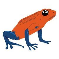 red and blue frog amphibian animal vector