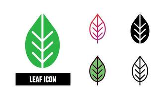 Leaf Icon Set Vector Illustration