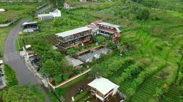 bandung, Indonésia, em 7 fevereiro, 2023, aéreo Visão do a cafeteria em a colina, oeste java-indonesia. video