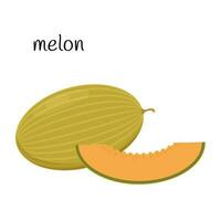 Melon whole and cut off a slice of fruit, berry icon. Flat design. Color vector illustration isolated on a white background.