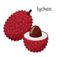 A whole lychee fruit in a prickly skin and an open half with a seed. Flat style. Exotic, tropical fruit icon. Color vector illustration isolated on a white background.