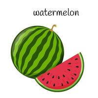 A whole watermelon and a cut slice of watermelon. Fruit, berry icon. Flat design. Color vector illustration isolated on a white background.