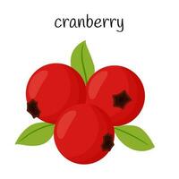 Cranberries with leaves. Fruit, berry icon. Flat design. Color vector illustration isolated on a white background.