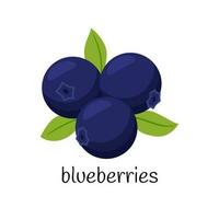 Blueberries with leaves. Three berries. Fruit, berry icon. Flat design. Color vector illustration isolated on a white background.