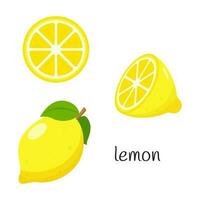 Whole lemon with leaves, half and slice. Citrus fruit icon. Flat design. Color vector illustration isolated on a white background.