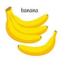 Bananas in a bundle and one banana. Fruit icon. Flat design. Color vector illustration isolated on a white background.