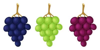 Grapes on a twig, green and blue berries. Fruit, berry icon. Flat design. Color vector illustration isolated on a white background.