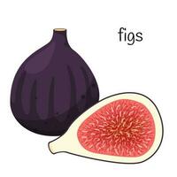 A whole Fig fruit and a cut half with seeds and pulp. Exotic fruit icon. Flat design. Color vector illustration isolated on a white background.