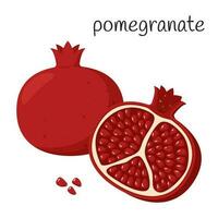 A whole pomegranate and a half cut off with seeds. Exotic fruit icon. Flat style. Color vector illustration isolated on a white background.