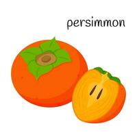 A whole persimmon fruit and a cut half with seeds and pulp. Exotic fruit icon. Flat design. Color vector illustration isolated on a white background.