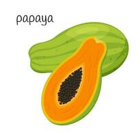 Whole Papaya and cut half with seeds and pulp. Exotic, tropical fruit icon. Flat style. Color vector illustration isolated on a white background.