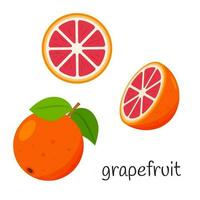 Whole grapefruit with leaves, half and slice. Citrus fruit icon. Flat design. Color vector illustration isolated on a white background.