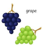 Grapes on a twig, green and blue berries. Fruit, berry icon. Flat design. Color vector illustration isolated on a white background.