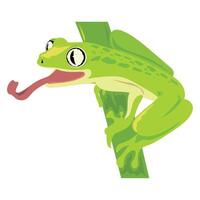 frog amphibian in branch icon vector