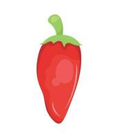 chilli pepper vegetable isolated icon vector