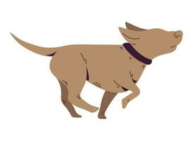 Cute puppy silhouette walking over white vector