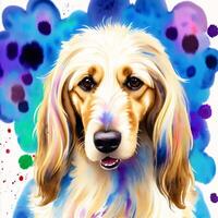 A beautiful Afghan Hound. Watercolor painting. Graceful Elegance. photo