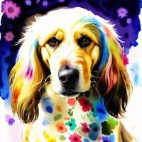 A beautiful Afghan Hound. Watercolor painting. Graceful Elegance. photo