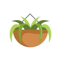 planta de casa en maceta colgando icono vector