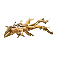 teak Driftwood scultura ai generativo png