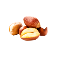 Brazilian nut AI Generative png